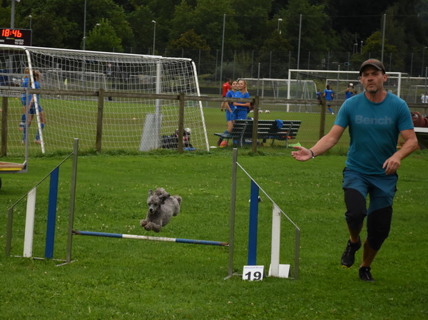 Agility Plauschturnier Augugst 2020 6
