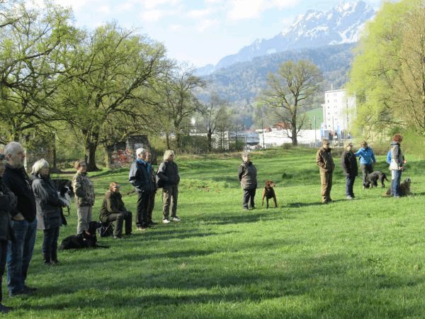 Spartentag 2015 62