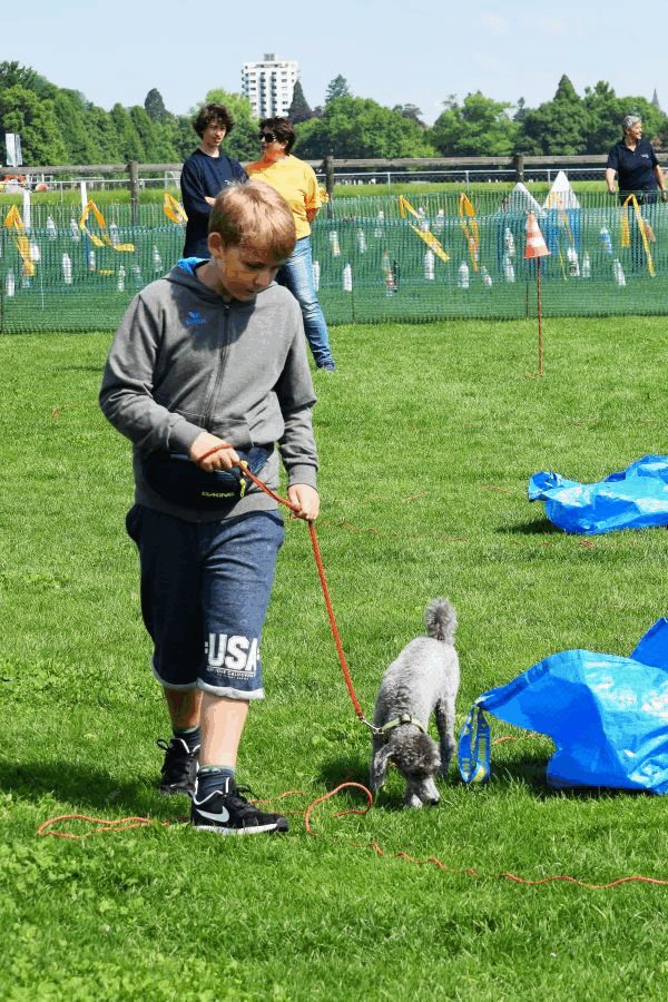 Plauschparcours Frühling 2017 43