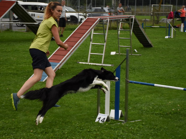 Agility Plauschturnier Augugst 2020 7