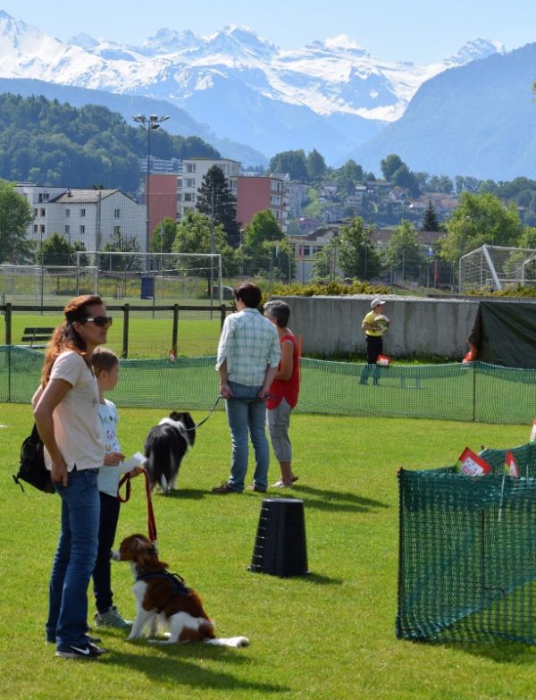 Plauschparcours Frühling 2016 33
