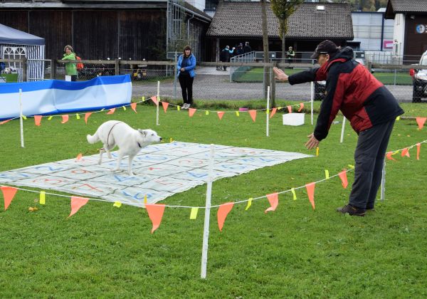 Plauschparcours Herbst 2017 34
