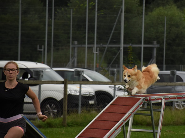 Agility Plauschturnier Augugst 2020 8