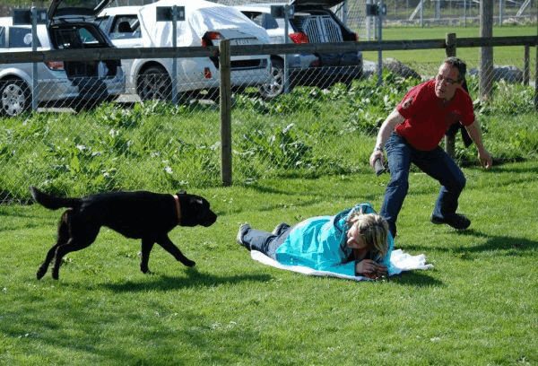 Spartentag 2015 63