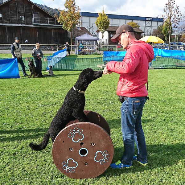 Plauschparcours Herbst 2017 35