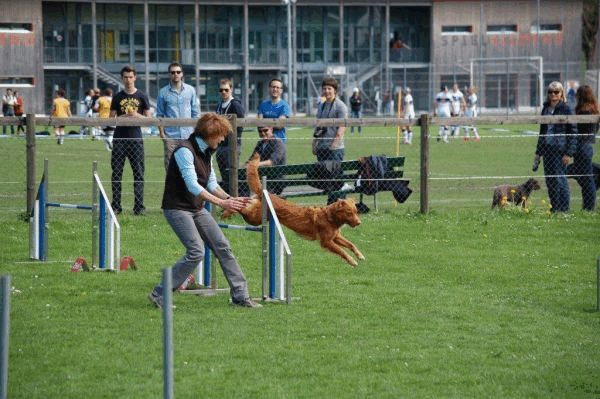 Spartentag 2015 67