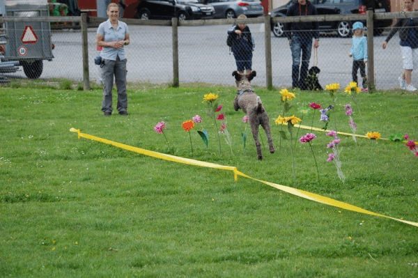 Plauschparcours 2015 46