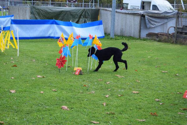 Plauschparcours Herbst 2017 38