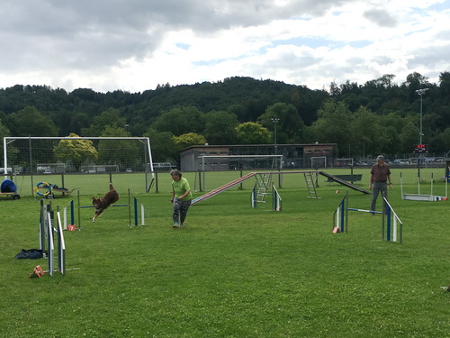 Agility Plauschturnier Juli 2021 8