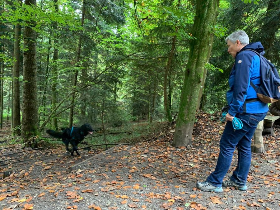 Dogtrail Herbst 2019 26
