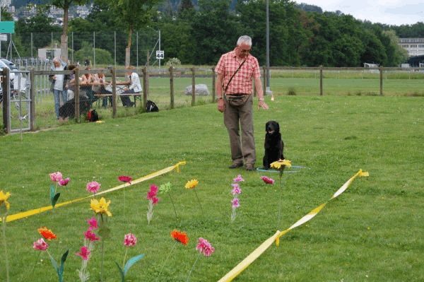 Plauschparcours 2015 49