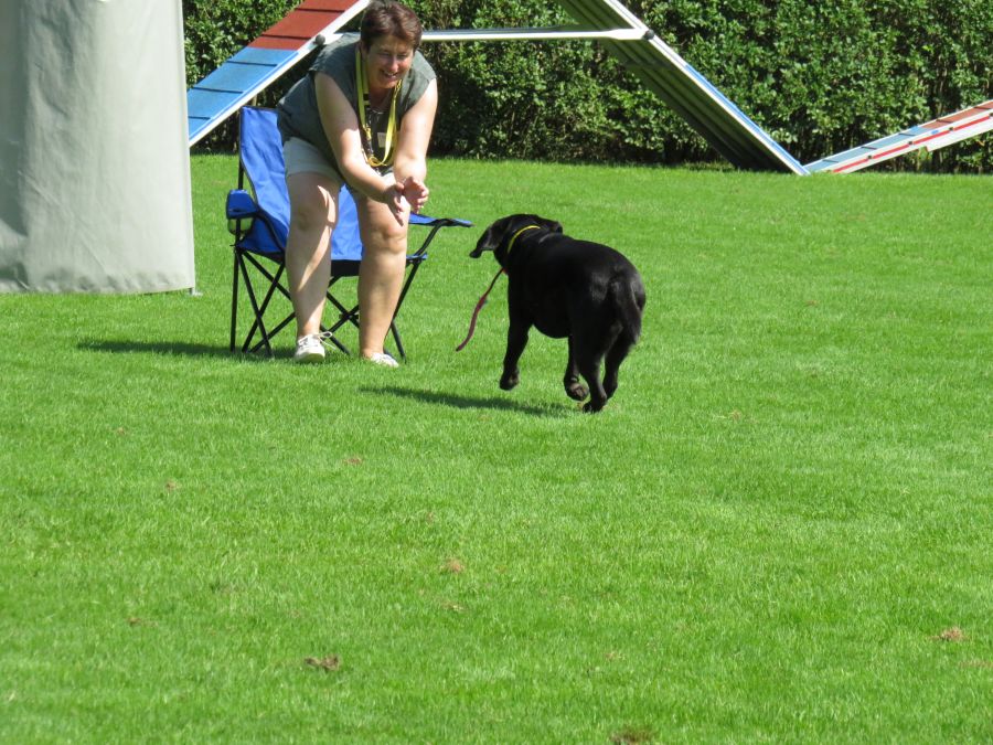 Entdeckertag Allmend 2019 11