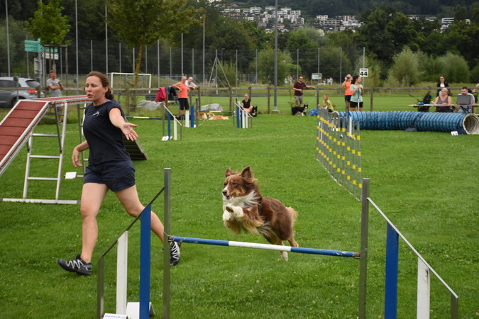Agility Plauschturnier Augugst 2020 9