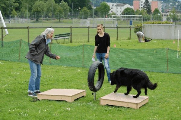 Plauschparcours 2015 50