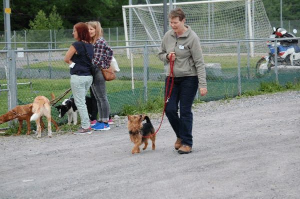 Plauschparcours 2015 52