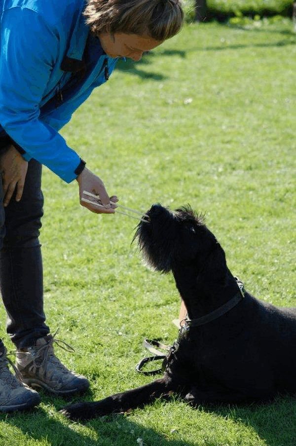 Spartentag 2015 70
