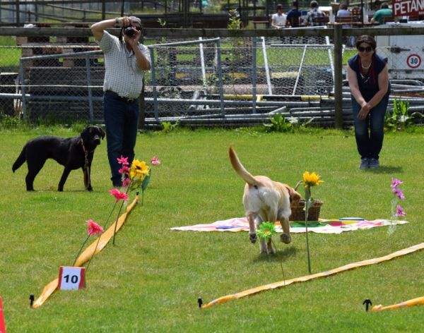 Plauschparcours Frühling 2016 35