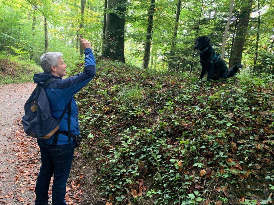 Dogtrail Herbst 2019 28