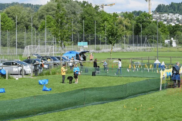 Plauschparcours Frühling 2017 55