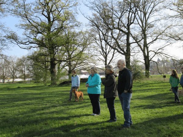 Spartentag 2015 73