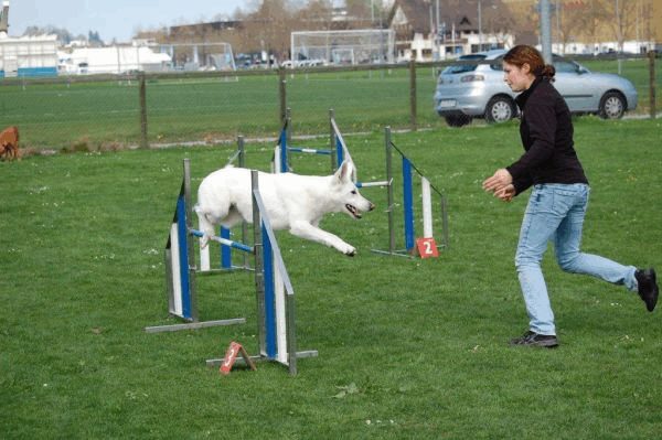 Spartentag 2015 75