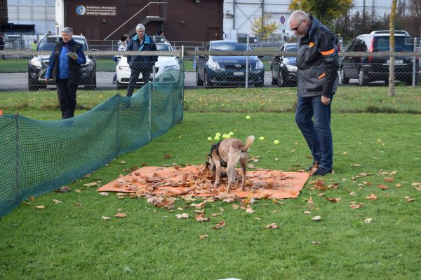 Plauschparcours Herbst 2017 43