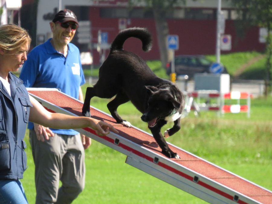 Entdeckertag Allmend 2019 12