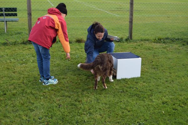 Plauschparcours Herbst 2017 44