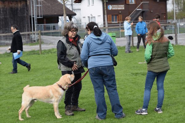 Spartentag 2015 77