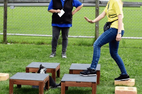 Plauschparcours Frühling 2017 61