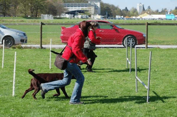 Spartentag 2015 78