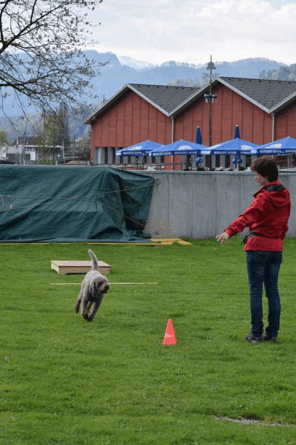 Spartentag 2015 79