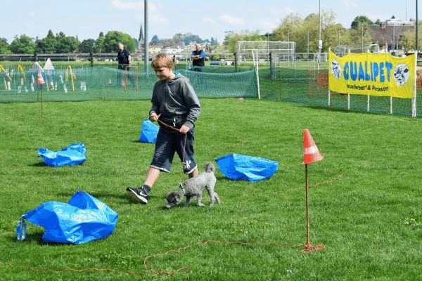 Plauschparcours Frühling 2017 64