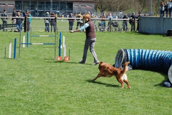 Spartentag 2015 80