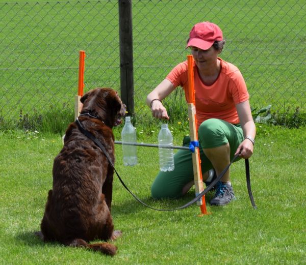 Plauschparcours Frühling 2016 41