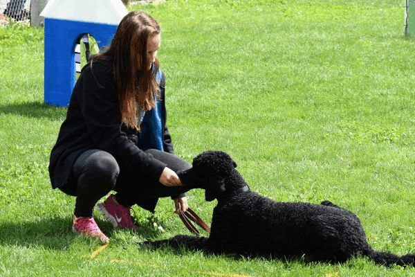 Plauschparcours Frühling 2017 70
