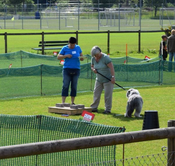 Plauschparcours Frühling 2016 43