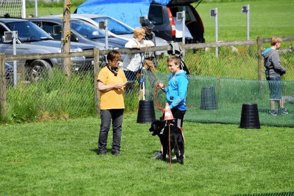 Plauschparcours Frühling 2017 71
