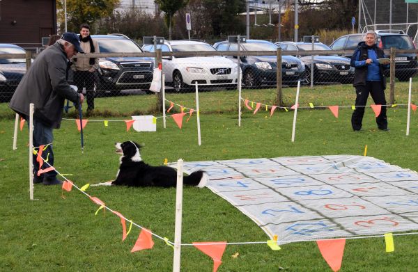 Plauschparcours Herbst 2017 49