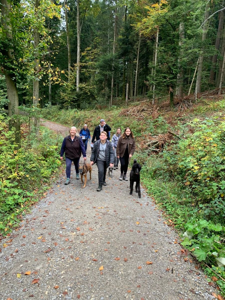 Dogtrail Herbst 2019 33