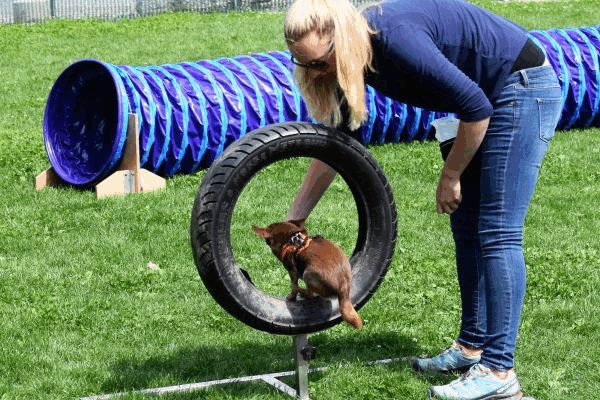 Plauschparcours Frühling 2017 72