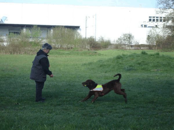 Spartentag 2015 84