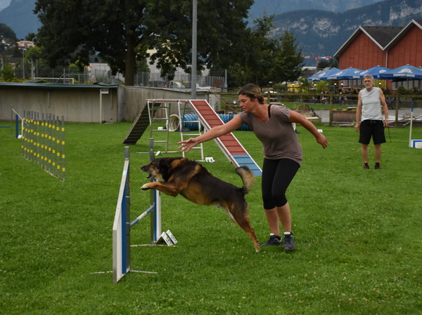Agility Plauschturnier Augugst 2020 11