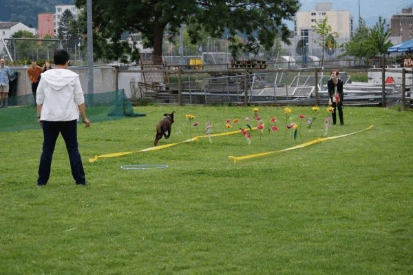 Plauschparcours 2015 56