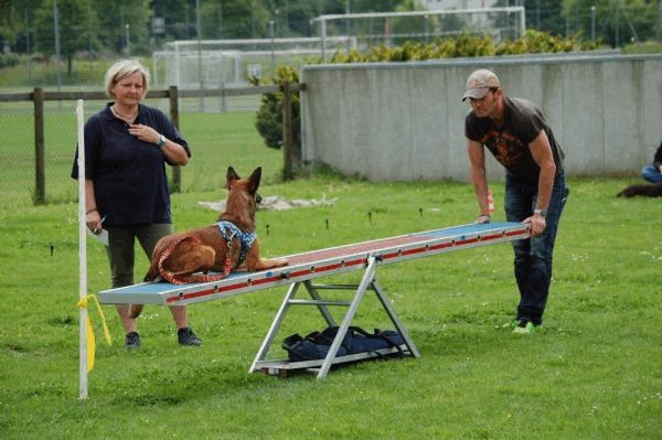 Plauschparcours 2015 58