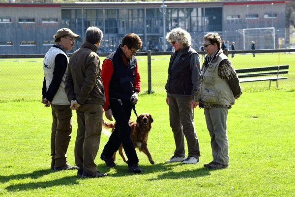 Spartentag 2015 87