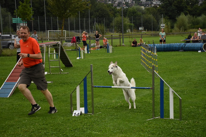 Agility Plauschturnier Augugst 2020 12