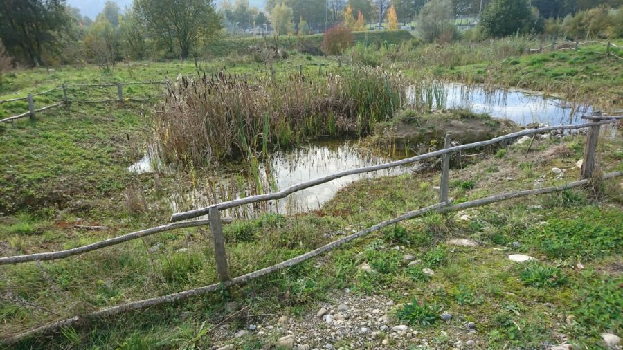 Dogtrail Herbst 2019 35