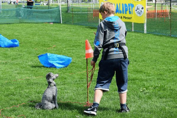 Plauschparcours Frühling 2017 78