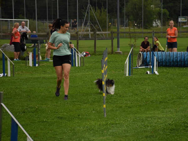 Agility Plauschturnier Augugst 2020 13